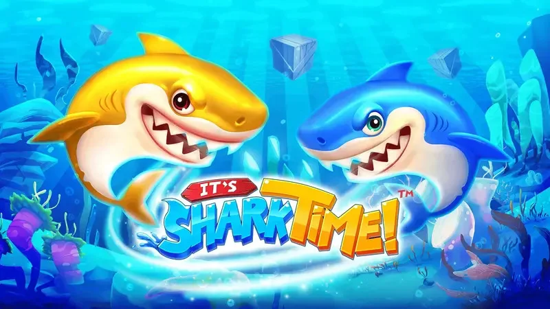 It&rsquo;s Shark Time